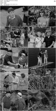 Gilligans Island S01 S03 DVDRip H264-NGP