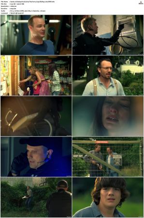 Flashpoint S01 S05 SUPER-PACK 720p BluRay x265-BMF