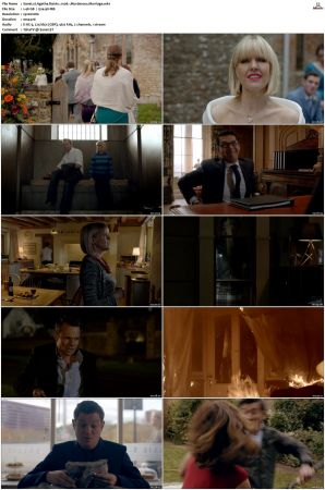 Agatha Raisin S01 S04 1080P AMZN WEB-DL X265-NGP