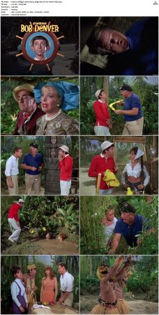 Gilligans Island S01 S03 DVDRip H264-NGP