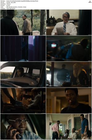 True Detective S01-S04 COMPLETE 720p BluRay x264-GalaxyTV