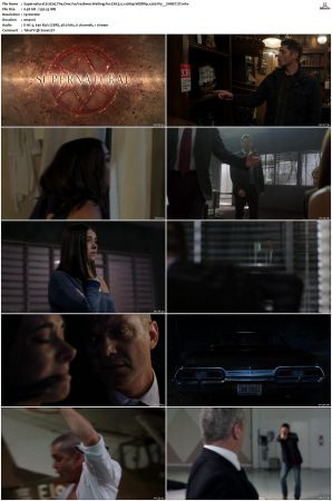 Supernatural S01 S15 WEBRip EAC3 2 0 1080p x265-iVy