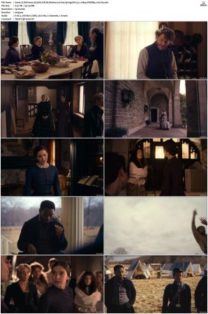 Dickinson S01 S03 SUPER-PACK WEBRip EAC3 5 1 1080p x265-iVy