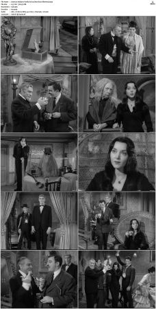 The Addams Family 1964 S01-S02 DVDRip X264-NGP