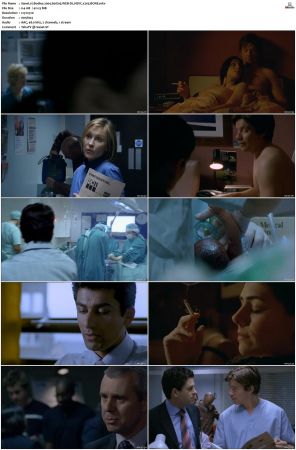 Bodies 2004 S01 S02 WEB-DL HEVC x265 BONE