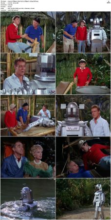 Gilligans Island S01 S03 DVDRip H264-NGP