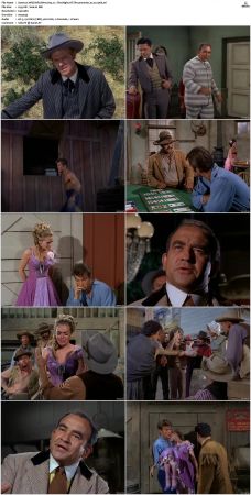 The Wild Wild West S01-S04 DVDRip XviD-NOGRP