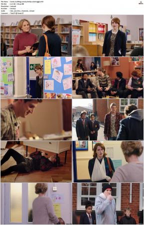 Siblings S01 S02 SUPER-PACK DVDRip x264-HAGGiS