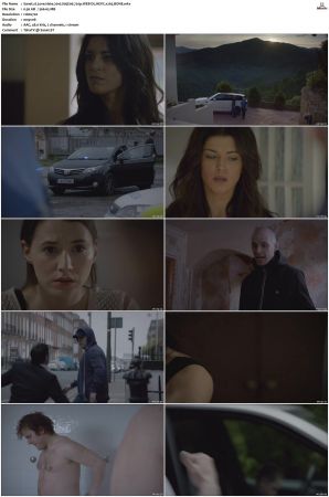 Love Hate 2010 S01 S05 720p WEB-DL HEVC x265 BONE