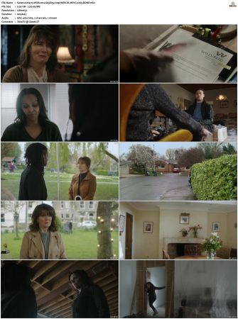 Harry Wild 2022 S01 S03 720p WEB-DL HEVC x265 BONE