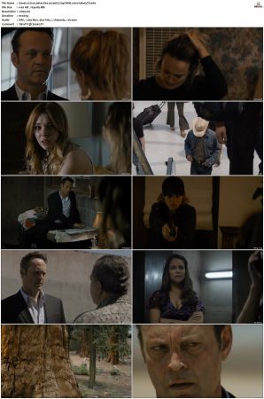 True Detective S01-S04 COMPLETE 720p BluRay x264-GalaxyTV