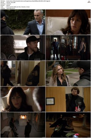 Sons of Anarchy S01-S07 SUPER-PACK 1080p WEBRip 10Bit DDP5.1 HEVC-d3g