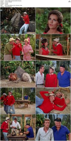 Gilligans Island S01 S03 DVDRip H264-NGP