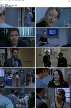 Bodies 2004 S01 S02 WEB-DL HEVC x265 BONE