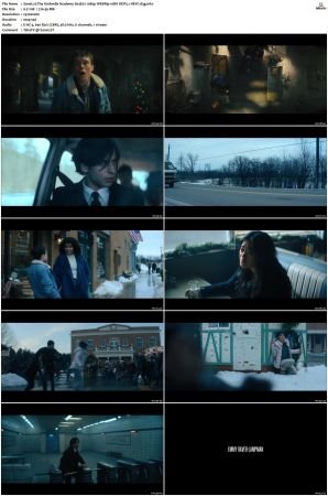 The Umbrella Academy S01-S04 1080p NF WEBRip 10Bit DDP5.1 HEVC-d3g