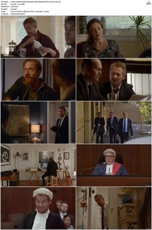 Rake S01 S05 1080p BluRay DDP 2 0 x265-iVy