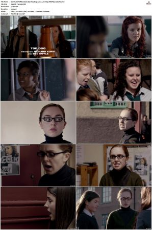 Wolfblood S01 S05 WEBRip EAC3 2 0 1080p x265-iVy