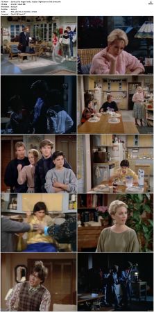 The Hogan Family aka Valerie 1986 S01-S06 SUPER-PACK TVRip x264-NOGRP