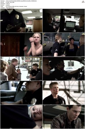 Southland S01 S05 SUPER-PACK NORDiC 720p WEB-DL H 265 DD5 1-CiNEMiX