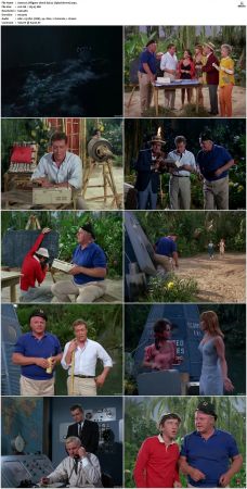 Gilligans Island S01 S03 DVDRip H264-NGP
