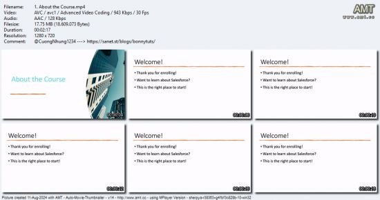 Introduction to Salesforce: A Practical Guide