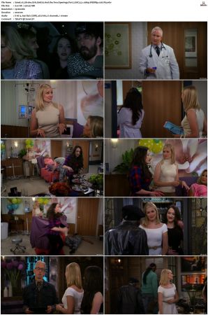 2 Broke Girls S01-S06 1080p WEBRip EAC3 5.1 x265-iVy
