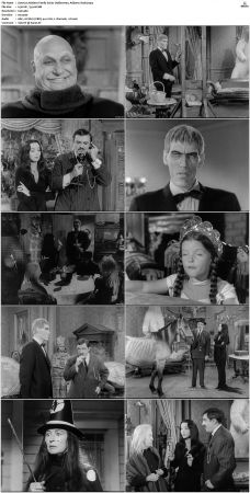 The Addams Family 1964 S01-S02 DVDRip X264-NGP