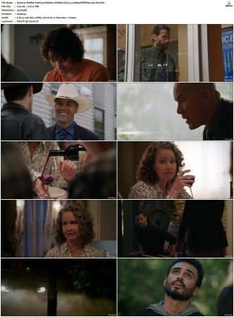 Walker S01-S04 1080p WEBRip EAC3 5.1 x265-iVy