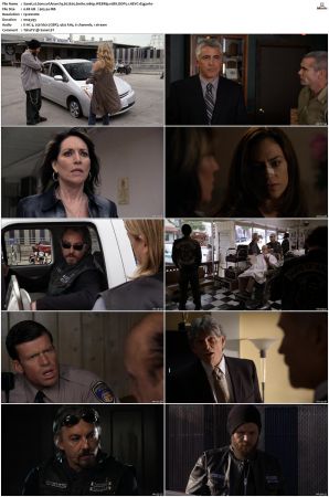Sons of Anarchy S01 S07 SUPER-PACK 1080p WEBRip 10Bit DDP5 1 HEVC-d3g