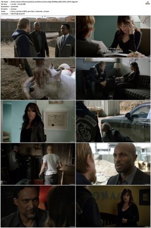 Sons of Anarchy S01-S07 SUPER-PACK 1080p WEBRip 10Bit DDP5.1 HEVC-d3g