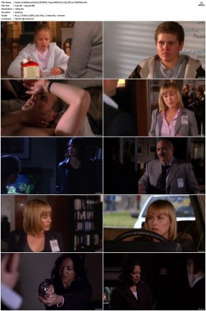 Medium S02 NORDiC 720p WEB-DL H 265 DD2 0-CiNEMiX