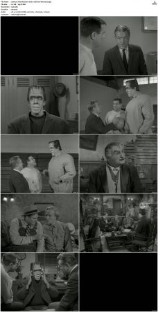 The Munsters 1964 S01 S02 DVDRip MPEG-NGP