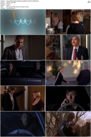 Medium S03 NORDiC 720p WEB-DL H 265 DD2 0-CiNEMiX
