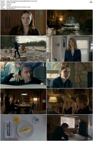 Tin Star S01 S03 1080p BluRay DDP 5 1 x265-iVy