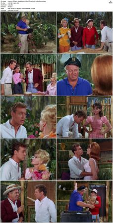 Gilligans Island S01 S03 DVDRip H264-NGP
