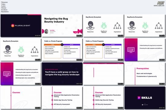 Navigating the Bug Bounty Industry