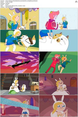 Adventure Time 2008 S01-S10 + Fionna and Cake 1080p Bluray EAC3 2.0 x265-iVy