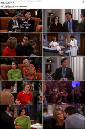 Friends S01-S10 SUPER-PACK 720p BluRay x265-BMF