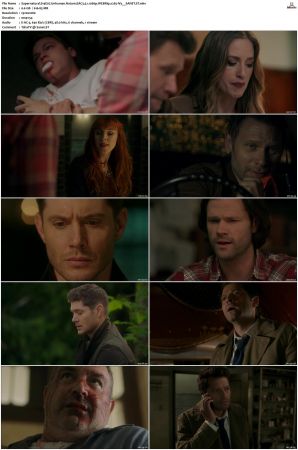 Supernatural S01 S15 WEBRip EAC3 2 0 1080p x265-iVy