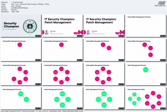 IT Security Champion: Patch Management