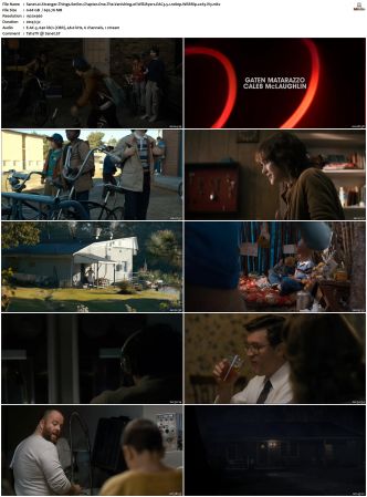 Stranger Things S01 S04 WEBRip EAC3 5 1 1080p x265-iVy