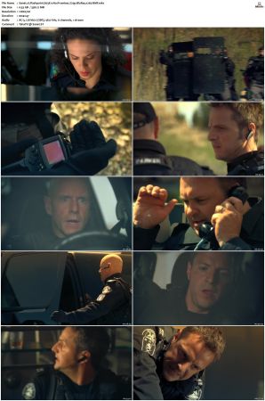 Flashpoint S01-S05 SUPER-PACK 720p BluRay x265-BMF
