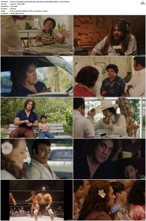 Young Rock S01 S03 SUPER-PACK 1080p BluRay-WEB DDP 5 1 x265-iVy