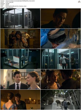 You S01 S04 1080p NF WEBRip DDP 5 1 x265-iVy