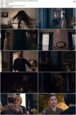 Dickinson S01 S03 SUPER-PACK WEBRip EAC3 5 1 1080p x265-iVy