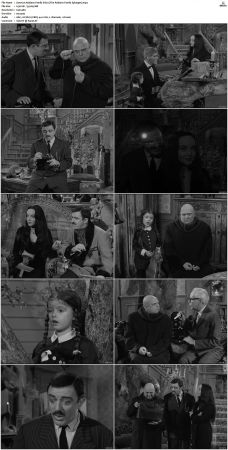 The Addams Family 1964 S01 S02 DVDRip X264-NGP