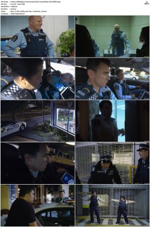 Wellington Paranormal S01 S04 720p BluRay H265 BONE