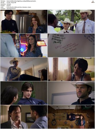 Walker S01 S04 WEBRip EAC3 5 1 1080p x265-iVy