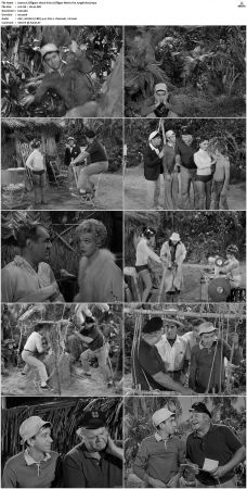 Gilligans Island S01 S03 DVDRip H264-NGP