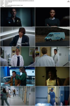 Angie Tribeca S01-S04 SUPER-PACK 1080p WEB DDP5.1 HEVC x265-JoeBee